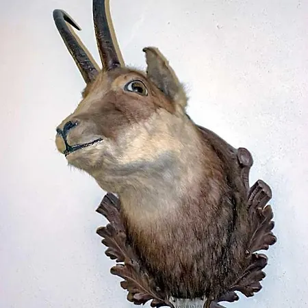 Szálloda La Della Regina
