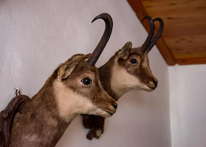 La Della Regina 3* Gressoney-La-Trinite