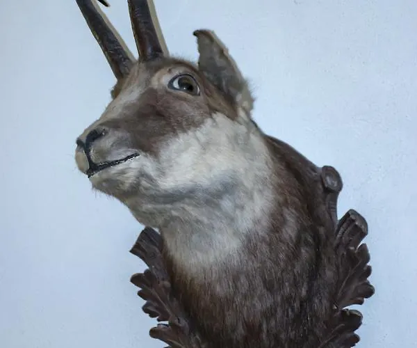 La Della Regina Hotel Gressoney-La-Trinite